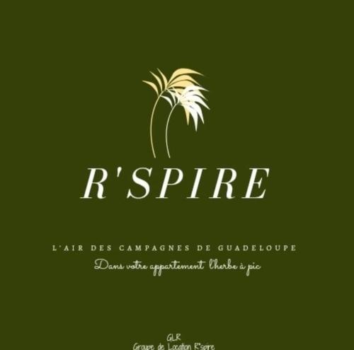 a palm tree logo on a green background at L'herbe à pic. in Les Abymes