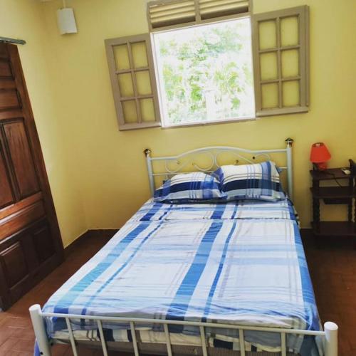 a bedroom with a bed with a blue and white comforter at L'herbe à pic. in Les Abymes