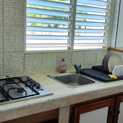 a kitchen counter with a sink and a stove at L'herbe à pic. in Les Abymes
