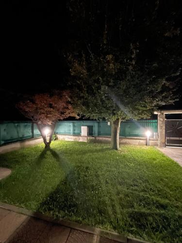a tree in a yard at night with lights at IL Sole in Caselle Torinese