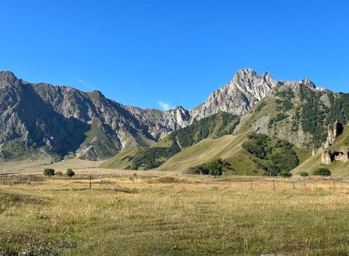 a view of a mountain range with a field at Alpine Escape Kazbegi in Stepantsminda