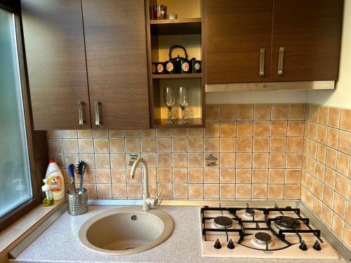 encimera de cocina con fogones y fregadero en Bucharest Apartment near the center, subway, mall and park en Bucarest