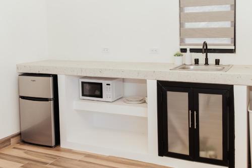 um balcão de cozinha com um lavatório e um micro-ondas em San Miguel Hills em Ensenada