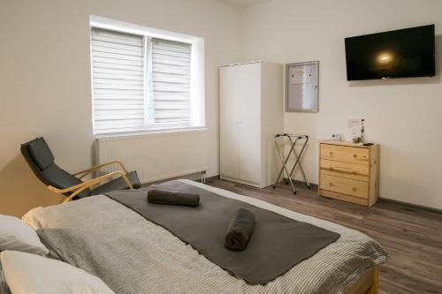 TV a/nebo společenská místnost v ubytování SárvárLAK Apartmanház