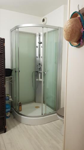 een douche met een glazen deur in de badkamer bij Un pied à terre in Carcassonne