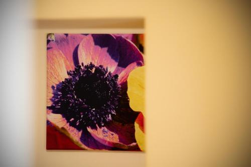 Moio AlcantaraにあるB&B affittacamere Al Vulcanettoのギャラリーの写真