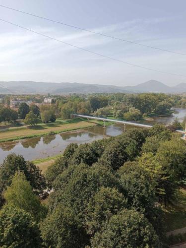 an aerial view of a river with trees and a bridge at VEMIUR in Čačak