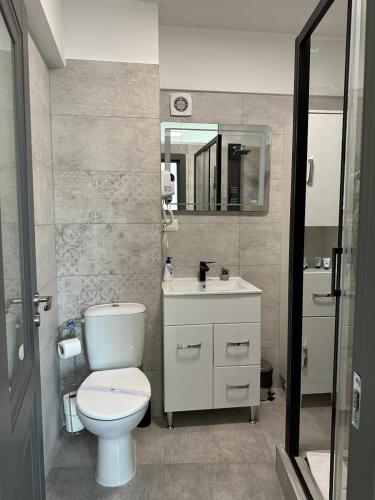 La salle de bains est pourvue de toilettes, d'un lavabo et d'un miroir. dans l'établissement Luxury Apartments and Studios Boulevard G Enescu Suceava, à Suceava