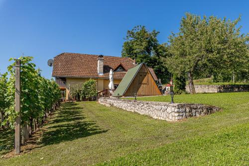 una casa con una pared de piedra frente a un patio en Vineyard Cottage Hočevar With Sauna - Happy Rentals, en Novo Mesto