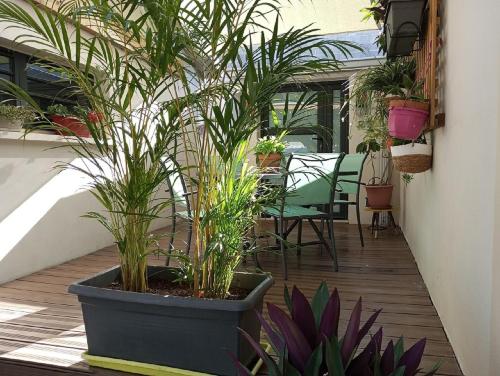 une terrasse avec des plantes en pot, des tables et des chaises dans l'établissement Charme et sérénité pour NON FUMEURS uniquement !, à Saint-Pierre
