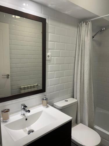 a bathroom with a sink and a toilet and a mirror at The Garden Madrid in Madrid