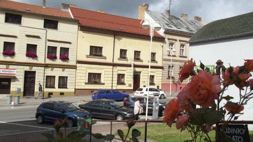 Fotografie z fotogalerie ubytování Pension 7 v Táboře