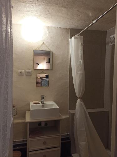 łazienka z umywalką i zasłoną prysznicową w obiekcie Capucine des lavandières 