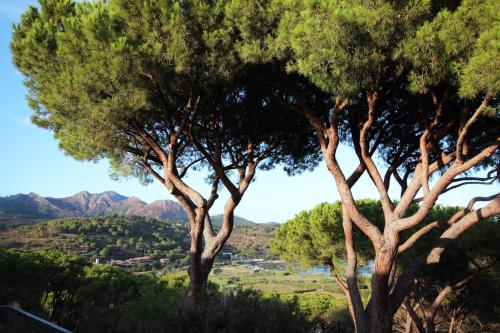 a group of trees with mountains in the background at Appartamento Il Mandorlo in Capoliveri