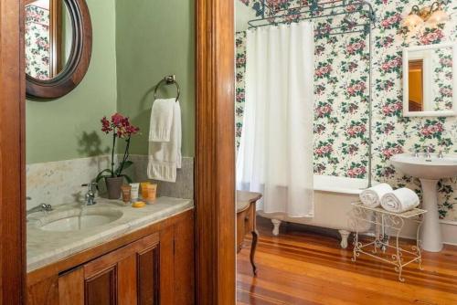 La salle de bains est pourvue d'un lavabo et d'un rideau de douche. dans l'établissement Historic House! 12 acres 6 Suites BBQ, à Candler