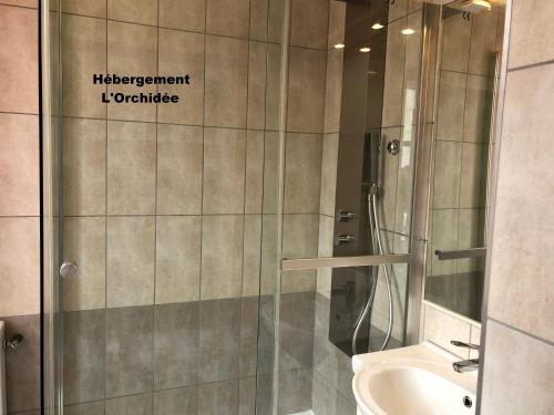 a bathroom with a shower and a sink at La Petalerie in Épernay