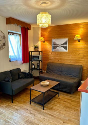 un salon avec deux canapés et une table dans l'établissement Charmant appartement confortable pour 6 personnes 40m2 pied pistes, Piscine, wifi, parking, à Chamrousse