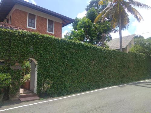 a hedge in front of a house with a gate at Roche's Cozy Corner R-2 Ground Level in Sri Jayewardenepura Kotte