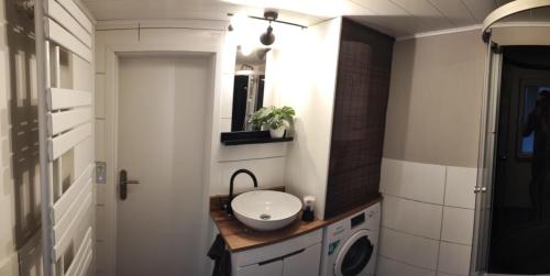 een badkamer met een wastafel en een wasmachine bij Ferienhaus Rogge-Hof in Lunow