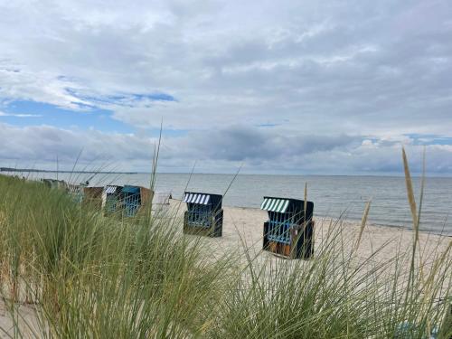 eine Reihe blauer Liegestühle am Strand in der Unterkunft Blaumuschel Sprotte 17 in Lubmin