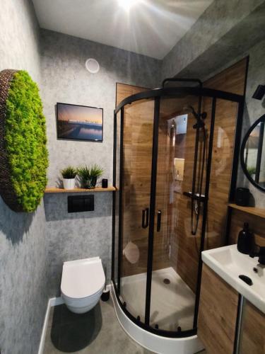 W łazience znajduje się prysznic, toaleta i umywalka. w obiekcie Warszawa - Apartament Chomikówka w Warszawie
