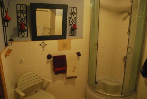 a bathroom with a shower and a toilet and a mirror at Pod Lasem 