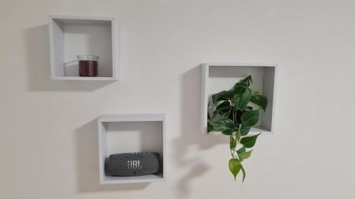 Apartman "Britanac"