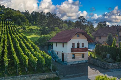 Ein Haus in einem Weinberg mit einem Haufen Reben in der Unterkunft Vineyard Cottage Pyramid - Happy Rentals in Dobrnič