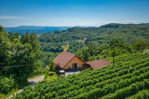 eine Luftansicht eines Weinbergs mit einem Haus auf einem Hügel in der Unterkunft Vineyard Cottage Ucman - Happy Rentals in Otočec