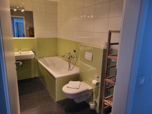 a green bathroom with a toilet and a sink at Der Landhof Seeadler in Stolpe auf Usedom