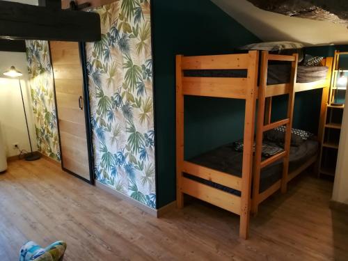 Cette chambre dispose de lits superposés et d'une échelle. dans l'établissement Appart d'hôtes au naturel, à Saint-Amand-sur-Sèvre