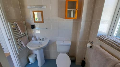 a small bathroom with a toilet and a sink at Polmaro in Saint Mawes