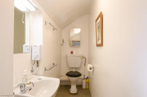 a white bathroom with a toilet and a sink at April Cottage in Saint Just in Roseland