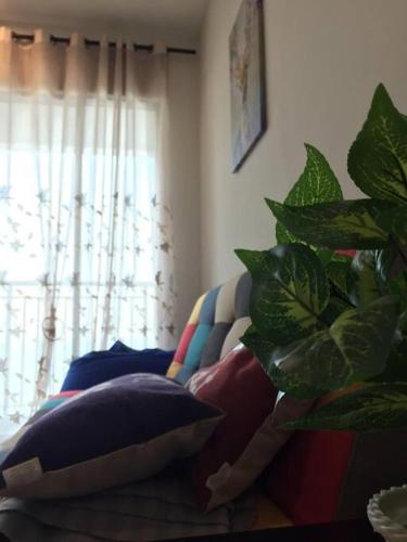 a living room with a couch and a plant at New! Batu Ferringhi Seaview Cozy Condo, Penang in Batu Ferringhi