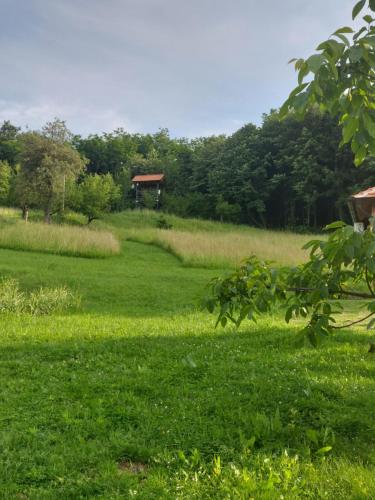 a field of green grass with a gazebo in the distance at Palanačka Avlija 2 in Ripanj