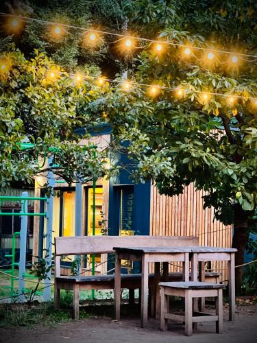 Taman di luar tiny house BARACZEK Brno-Jundrov, ulice Veslařská