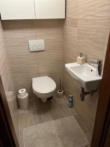 Baño pequeño con aseo y lavamanos en Inter Apartman, en Debrecen