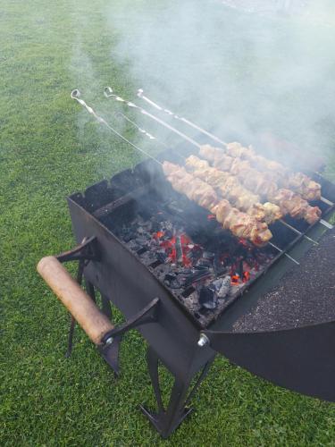 a grill with meat on it in the grass at Apartamenti Dundaga XXL in Dundaga