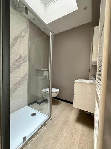 uma casa de banho com um chuveiro e um WC. em David&Magdalena em Oostende