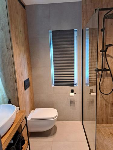 ein Bad mit einem WC, einem Waschbecken und einer Dusche in der Unterkunft Sub Silva in Bałtów