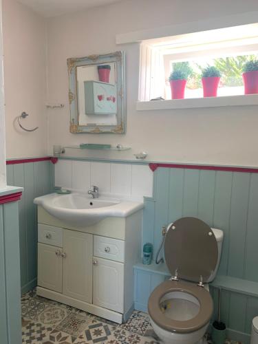 uma casa de banho com um WC, um lavatório e um espelho. em Gîte la belle etoile em Ver