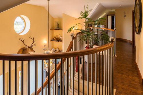 a hallway with a spiral staircase with a room with a room at Like walking into a fantastic novel at Inishowen House in Rashenny