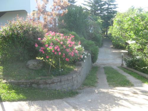 Κήπος έξω από το La Villa di Lucia