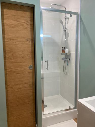 W łazience znajduje się prysznic ze szklanymi drzwiami. w obiekcie Fantastic Ground Floor Apartment Opposite Thermes w mieście Luchon
