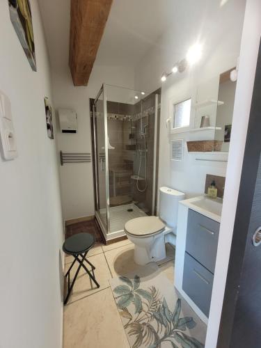 La salle de bains est pourvue d'une douche, de toilettes et d'un lavabo. dans l'établissement Studio dans maisonnette en pierre, au Castellet