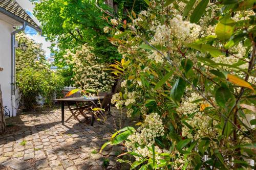 a patio with a table and some plants at Double Appartements 210 sqm up to 18 guests, Villa des Ammonites 2&3 in Meudon