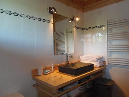 a bathroom with a sink and a mirror at CHALET BOIS PLEINE NATURE 6 PLACES in Sainte-Eulalie-dʼOlt