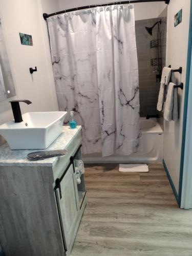 La salle de bains est pourvue d'un lavabo et d'un rideau de douche blanc. dans l'établissement Luxury In A Quaint Little Package, à Oshkosh