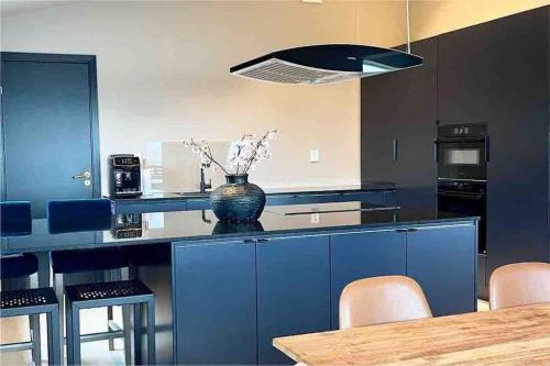 Cuisine ou kitchenette dans l'établissement Arctic Villa