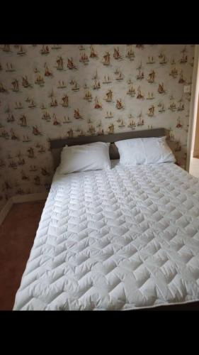 a large white bed in a bedroom with a wall at Maison Lison gare in Moon-sur-Elle